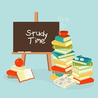 Портфолио Haleigh Smith